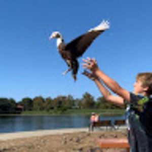 Meet your Posher, Henry